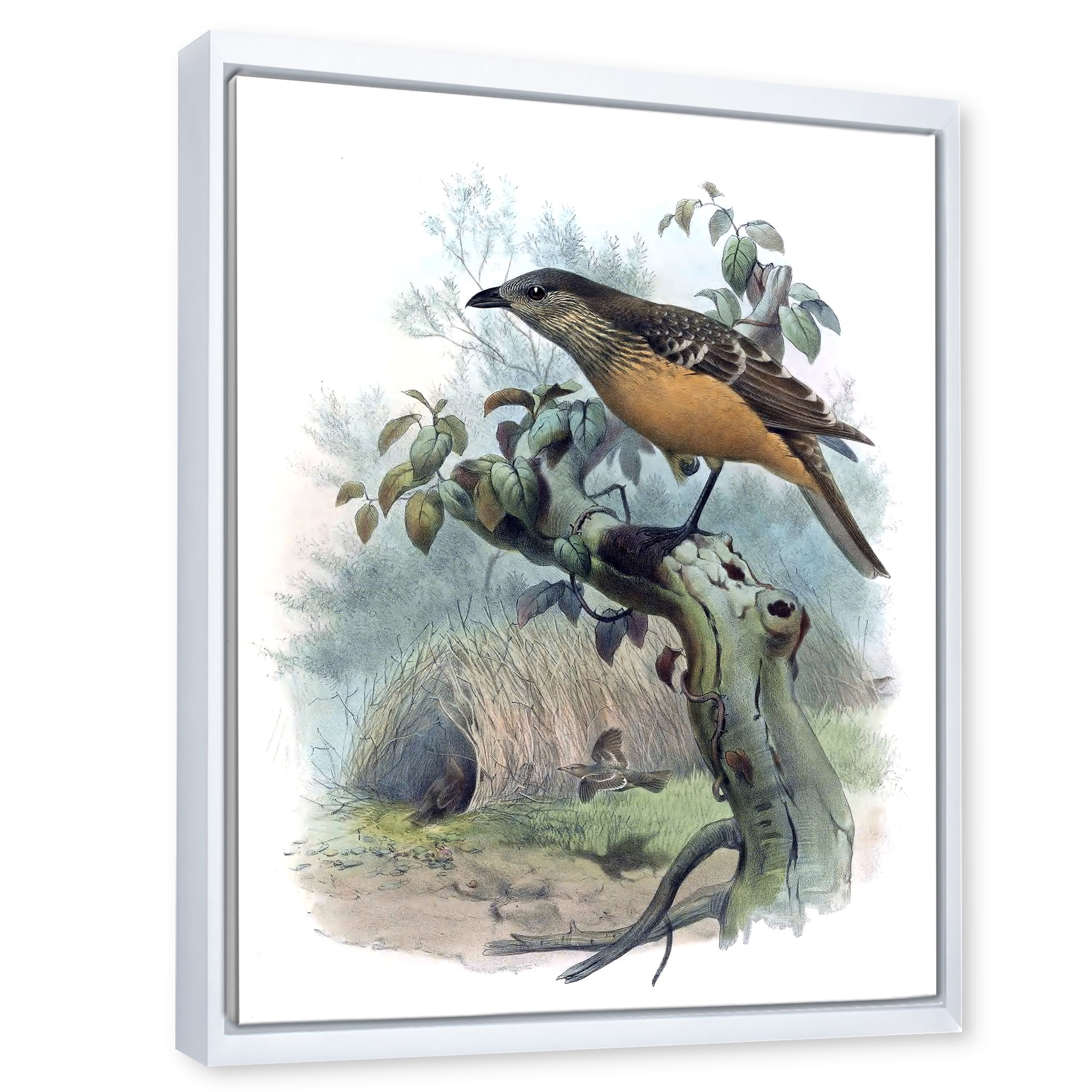 Designart 'The Paradise Birds on a Tree Branch' Traditional Framed Canvas Wall Art Print