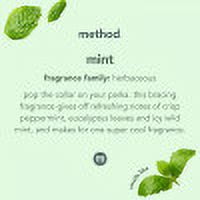 Method Glass Cleaner, Mint, 28 fl oz