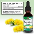 thumbnail image 3 of Nature’s Answer Dandelion Root Liquid Herbal Extract, Alcohol-Free, 2,000 mg, Gluten Free, Vegan, Non-GMO, 1 fl oz (Pack of 2), 3 of 5
