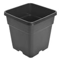 thumbnail image 5 of SEBLAFF 1/2/3/5 Gallon Plastic Grow Pots Plant Bonsai Square Garden Container 10 Pack, 5 of 13