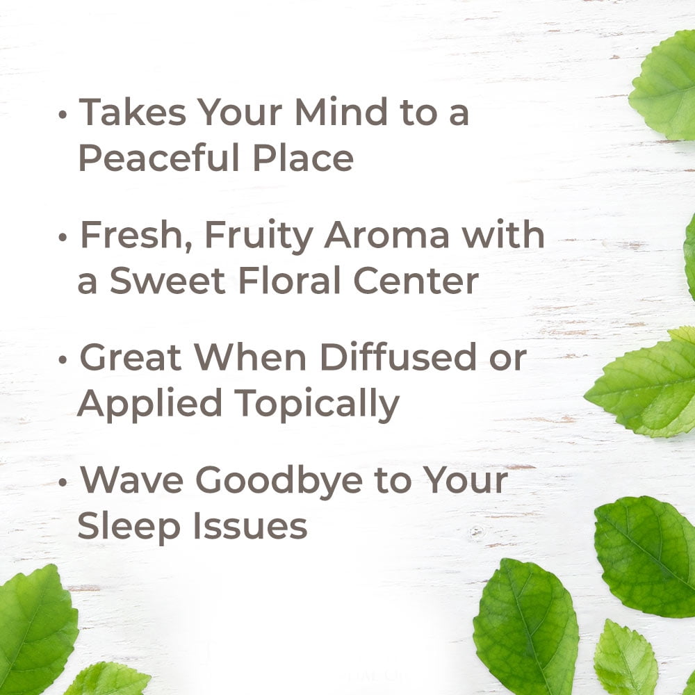 Plant Therapy Essential Oil | Tranquil Synergy Blend | Stress Relief, Sleep, Peace & Calming Blend | 100% Pure | 30 mL
