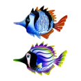 thumbnail image 1 of Decoraciones de pared,colgante de decoración de arte de pared colgante de pescado,Decoración de pared Adorno para el hogar Peces náuticos,Decoración Colgante Decoraciones Metálicas, 1 of 9