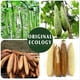 thumbnail image 5 of Esponja de Natural Exfoliante Corporal, Esponja de EcolóGica para Ducha, para Mujeres y Hombres (Paquete de 3), 5 of 5