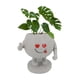 thumbnail image 3 of Bandeja para plántulas como la maceta del hombrecito sonriente, bonita maceta para suculentas, arreglo para jardín o patio, maceta para plantas, bandeja para plántulas, 3 of 6