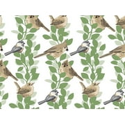 240 Pack, Farmhouse Birds Tissue Paper 20 x 30" Sheet Pack for DIY, Gift Wrapping, Birthday Parties and Events, Made In USA