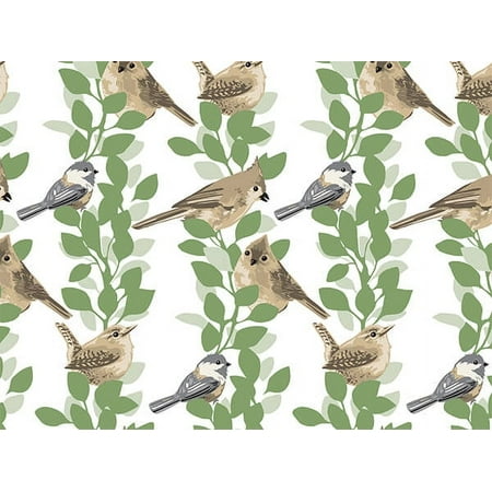 240 Pack, Farmhouse Birds Tissue Paper 20 x 30" Sheet Pack for DIY, Gift Wrapping, Birthday Parties and Events, Made In USA