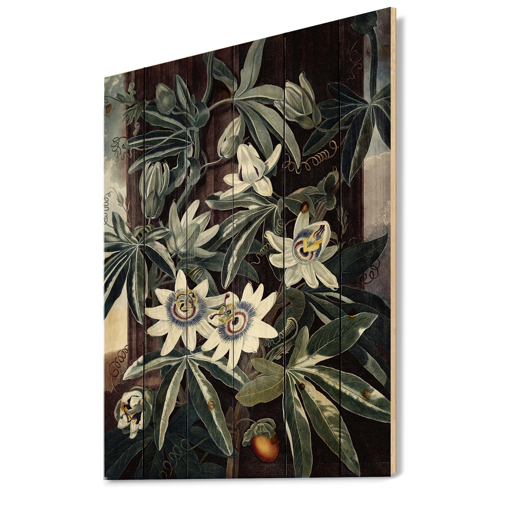 Designart 'Ancient Flowers I' Traditional Print on Natural Pine Wood