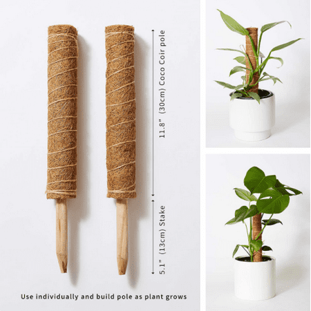 

The Blooming Jungle Moss Pole - 2 Coco Coir Poles Extending to 28.7 Inches - Train Indoor Plants to Grow Upwards - Use Plant Support Poles Individually or Together