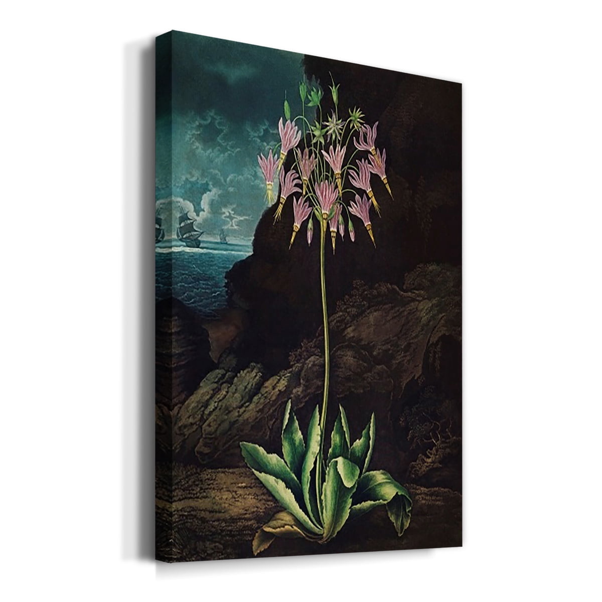 Temple of Flora II Premium Gallery Wrapped Canvas - Ready to Hang