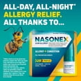 Nasonex 24HR Allergy Nasal Spray, Allergy + Congestion, NonDrowsy
