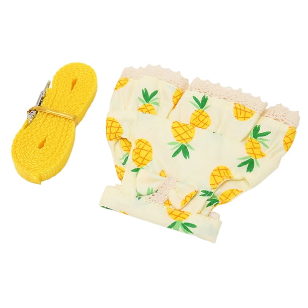 Conjunto de Correa para Vestido de Conejo, Estampado Lindo para Todas Las Estaciones, Correa de arnés para Mascotas pequeña y Suave y Ajustable para hámster, hurones, conejillos de Indias, M Ananas A