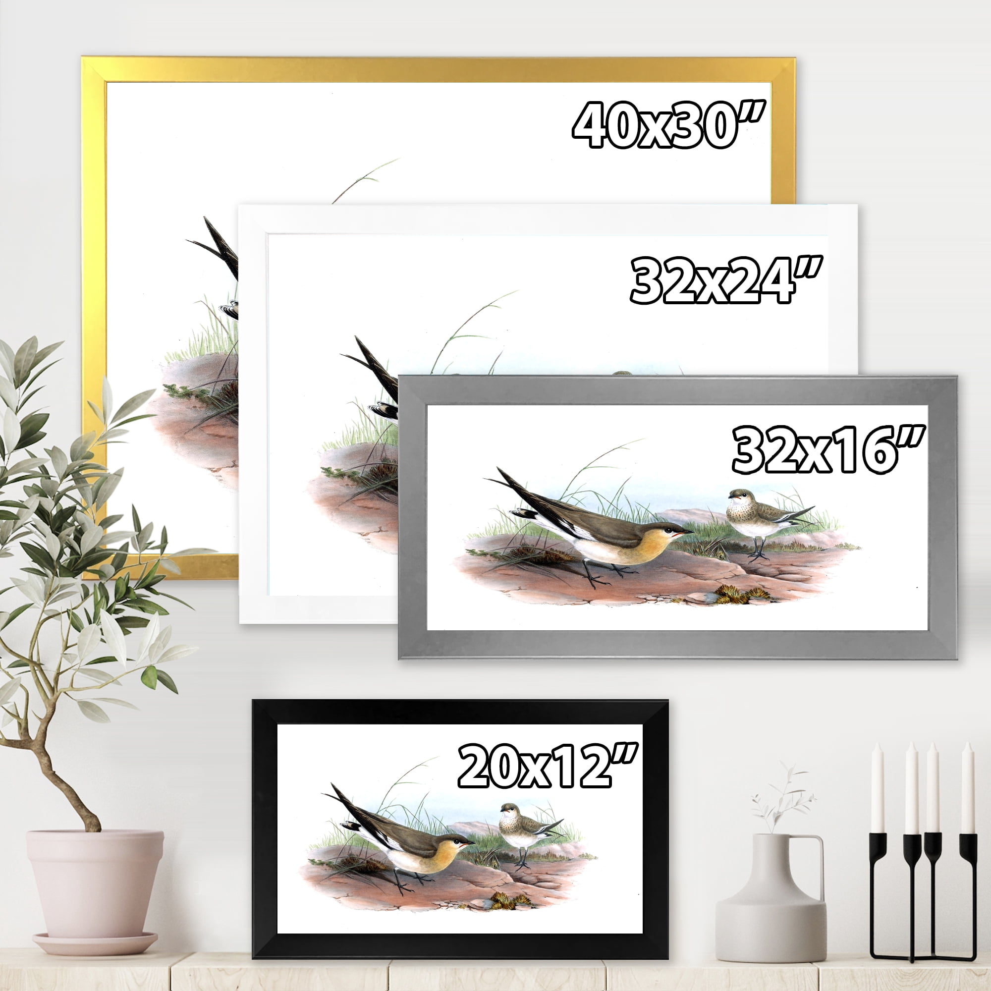 Designart 'Ancient Bird Illustration II' Farmhouse Framed Art Print