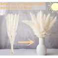 thumbnail image 4 of ZHUYING 110 PCS Dried Pampas Grass Bouquet, Boho Table Decor, Bunny Tails Dried Flowers, Brown Pompas, White Pampas Grass for Wedding, Home, Rustic Party, Baby Shower Decorations, 4 of 7