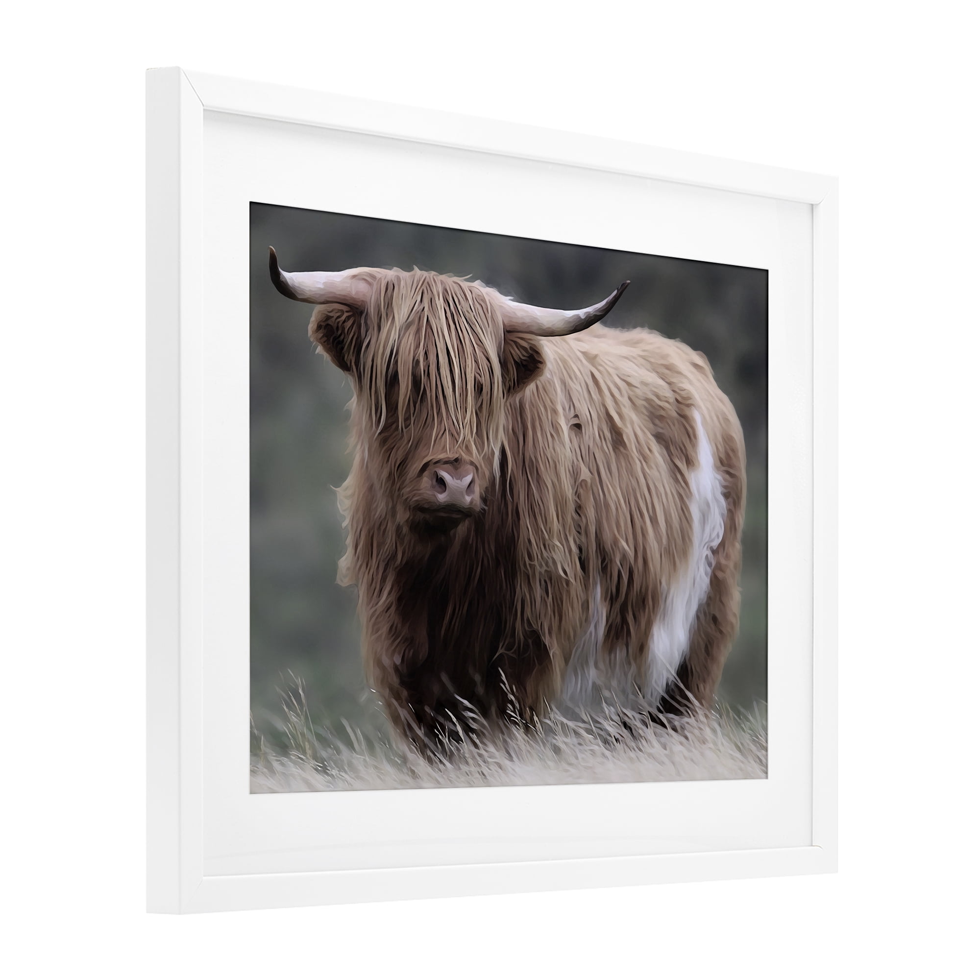 Stupell Industries Wandering Harry Highland Cattle White Framed Print Under Glass, design by Marcus Prime