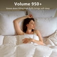 thumbnail image 4 of Teler Goose Feathers and Down Pillow for Sleeping ，with 100% Cotton Cover, Hotel Quality Fluffy Bed Pillow Set of 2, Queen Size, 4 of 6