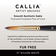 thumbnail image 6 of Willow Wolfe Callia Artist Liner Brush-10/0, 6 of 6