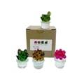 thumbnail image 2 of Harpily Desktop Decor Cactus Car Center Console Decoration Transparent Resin Crafts Computer Home Decoration, 2 of 3
