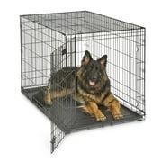MidWest iCrate for Dogs, Metal, Single Door, Includes Leak-Proof Pan, Floor Protecting Feet, Divider Panel, Foldable, Black, 48 L x 30 W x 33 H