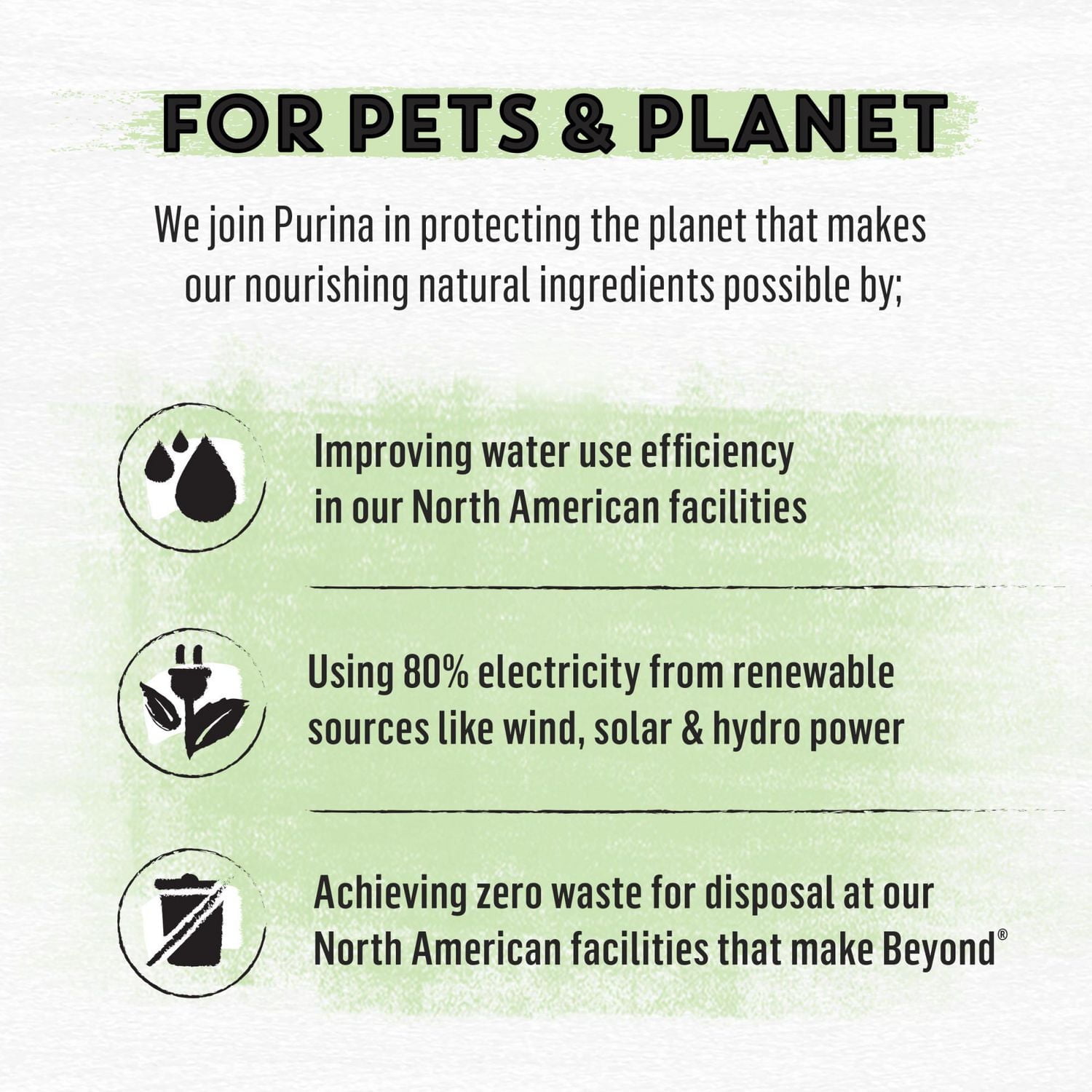 Beyond Grain Free Pâté Variety Pack 4 Flavours, Wet Cat Food 85 g x 24, 85 g x 24