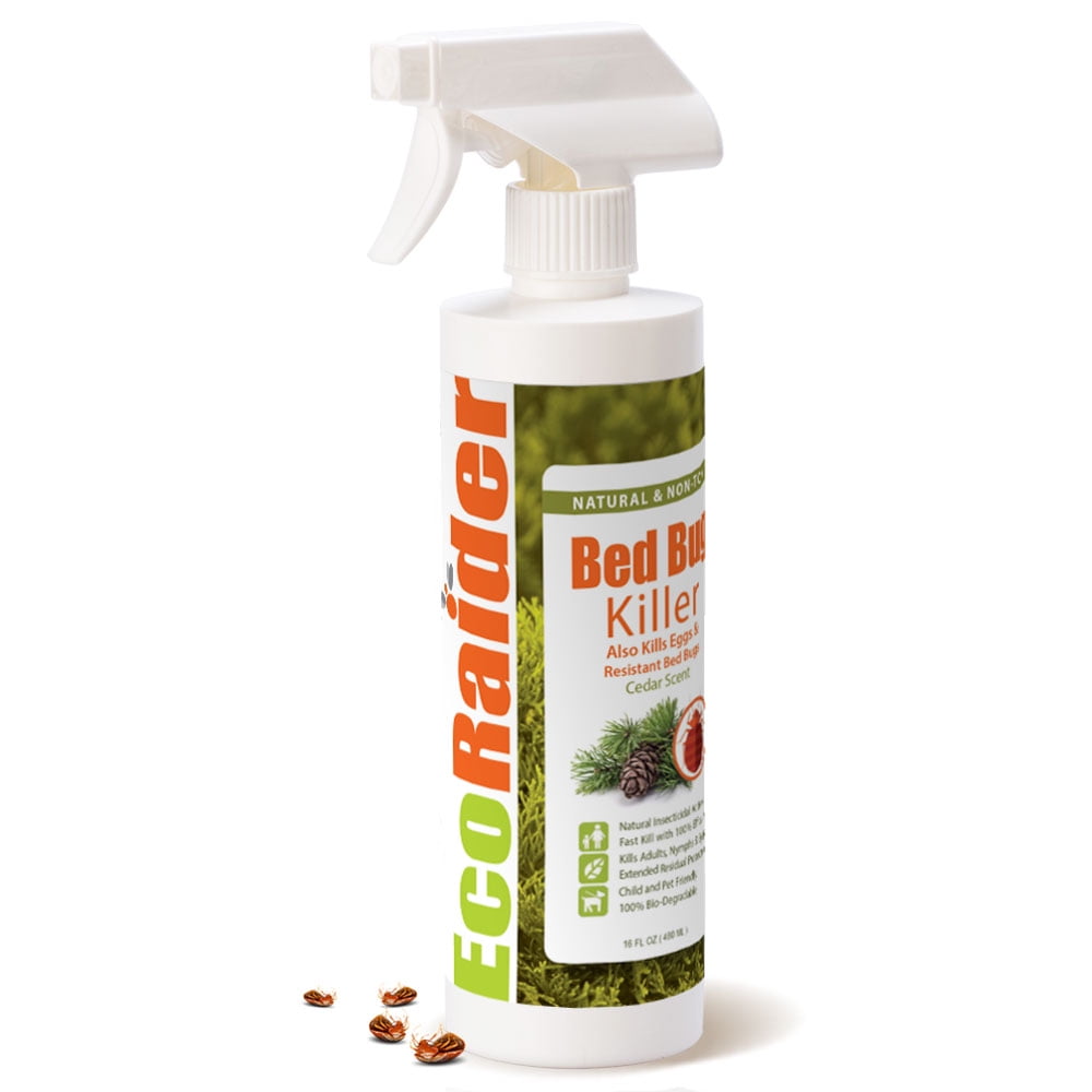 EcoRaider Natural Bed Bug Killer 16 OZ