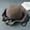 B, variant on Women Retro Wool Bucket Hats Bow Winter Warm Basin Hat Fisherman Hat Cute Soft