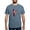 Blue Jean, variant on CafePress - Alpha Sigma Phi Phoenix T Shirt - Mens Comfort Colors Shirt