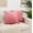 Pink, variant on Velvet Soft Solid Decorative Square Throw Pillow Covers 20 x 20 Inch Dusty Rose Pink