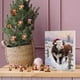 thumbnail image 1 of Calendario de Adviento de Navidad 2025 con diseño de vaca. Adorno colgante para el calendario de Adviento de los 24 días de Navidad., 1 of 4