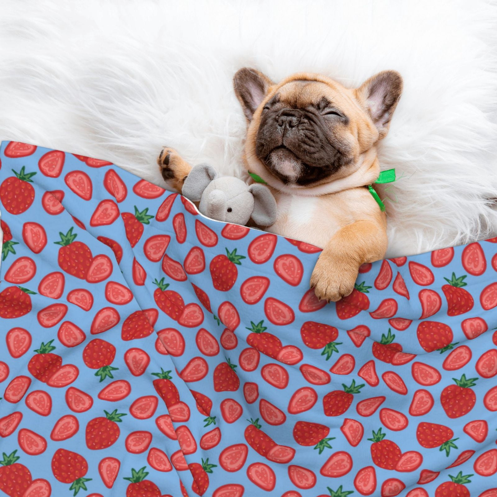 Naloa Strawberries Dog Blanket, 3 Sizes Cat Blanket for Indoor Cats Large Medium Small Dog Gifts-Small