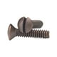 thumbnail image 1 of Tornillos para pared Amertac Nº 6 x 19 mm con cabeza ovalada ranurada en L, 1 of 1