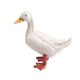 thumbnail image 1 of Colección de juguetes educativos con modelos de animales de simulación, accesorios de aprendizaje y decoración del hogar. Pato blanco, 1 of 9