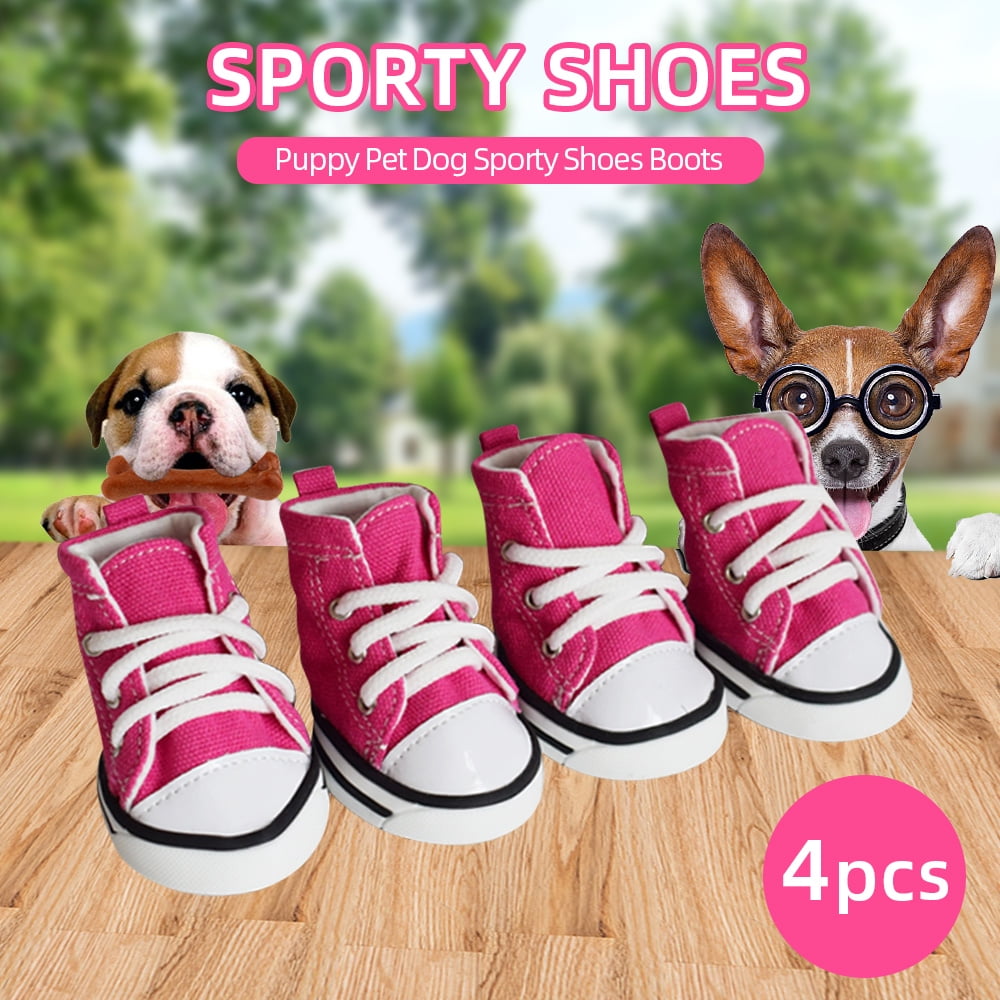 pet sneakers