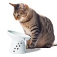 thumbnail image 1 of Necoichi Bol Surélevé Extra Large pour Nourriture de Chat (Chat, Extra Large Incliné), 1 of 9