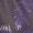 Purple, variant on Athletic Shorts for Men 2026 Summer Casual Elastic Waist Loose Fit Workout Gym Running Shorts Beachwear