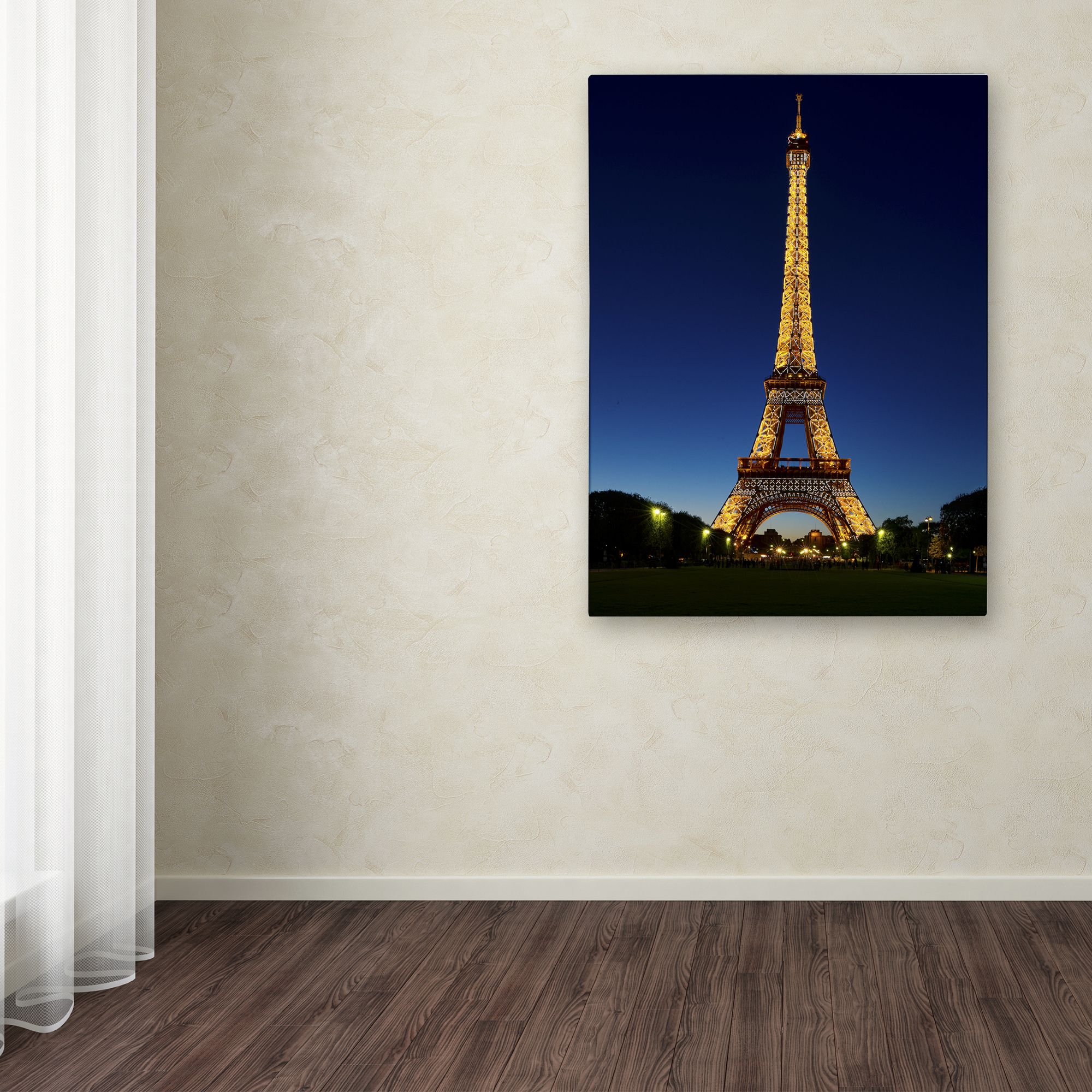 Trademark Fine Art "Evening Light Show" Canvas Art by Michael Blanchette Photography