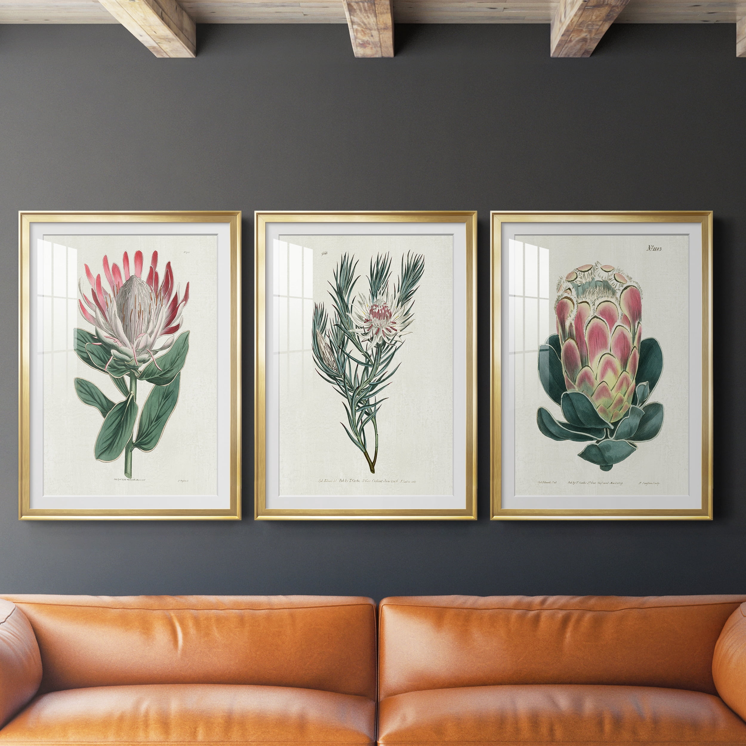 Protea N13 Premium Framed Prints Set of 3 - Ready to Hang - 30.5 x 42.5 Each - Gold Frame