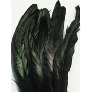 Black Coque Rooster Tail Feathers 10-12 inch per Ounce