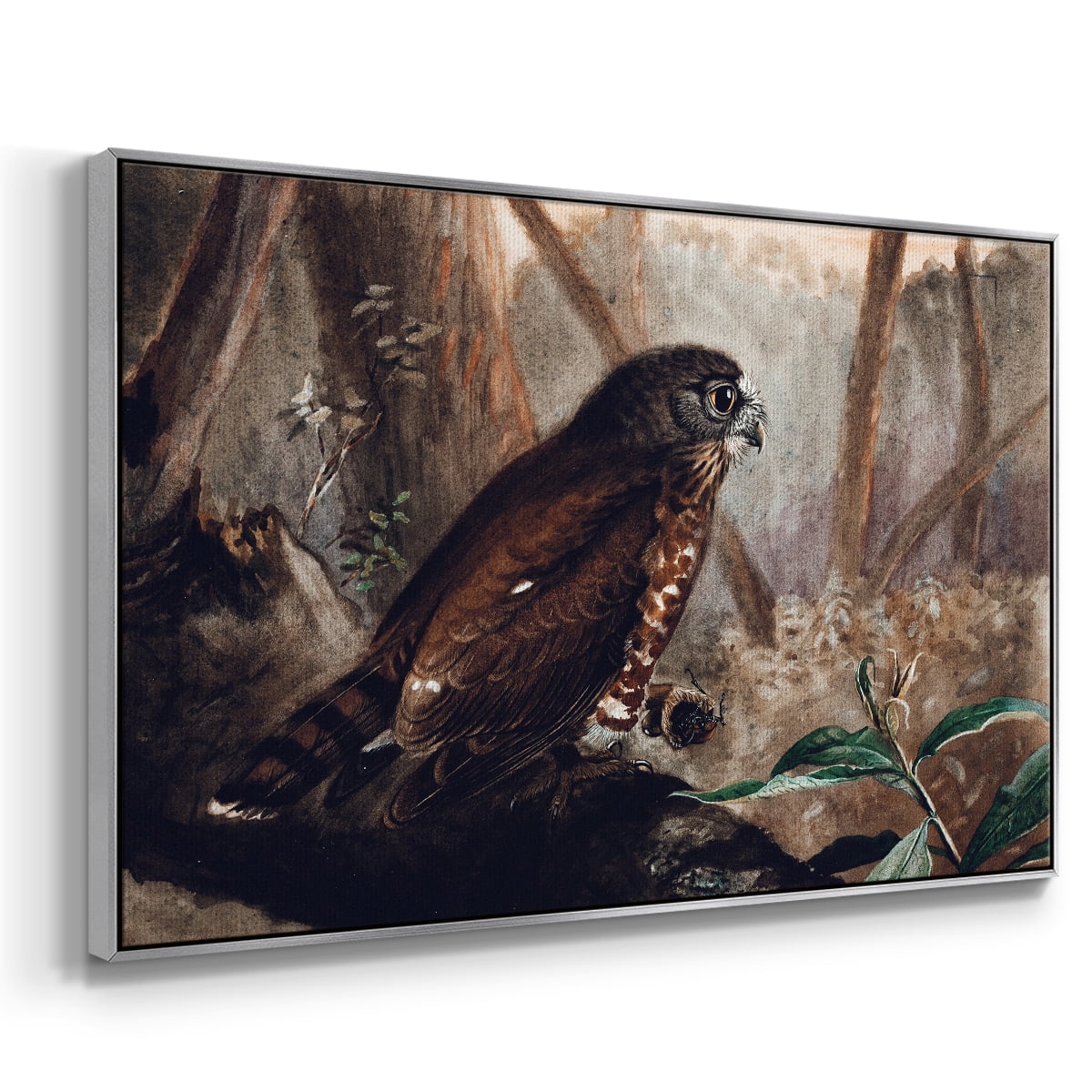 Vintage Animal Print-XVII By Wexford Home Framed in Silver Wood Gallery Wrapped Canvas 27 in. x 41 in.