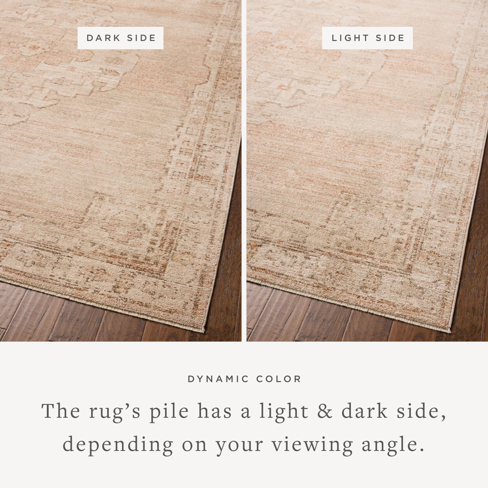 Chris Loves Julia x Loloi Palma Spice / Natural 5'-3" x 7'-6" Area Rug