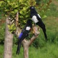 thumbnail image 2 of AMLESO Artificlal Bird Clip Blessing Wedding Decoration Figurine Present Magpie, 2 of 7