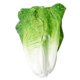 thumbnail image 2 of Lifelike Artificial Lettuce Decoration Made of PU Material for Home and Mall Decor, 2 of 5