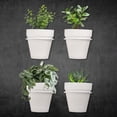 thumbnail image 2 of Esterno Wall Mounted Planter Rings w/ Pots (8-Piece Set); White Metal Plant Holders and Mini Clay Pots, 2 of 9