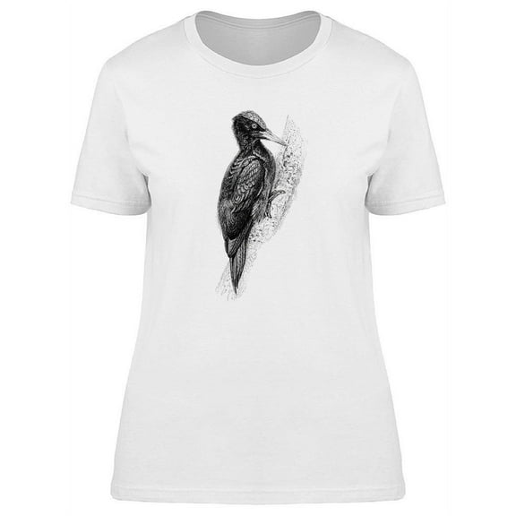 Black Woodpecker T-Shirt Women -Image by Shutterstock, Female XX-Large