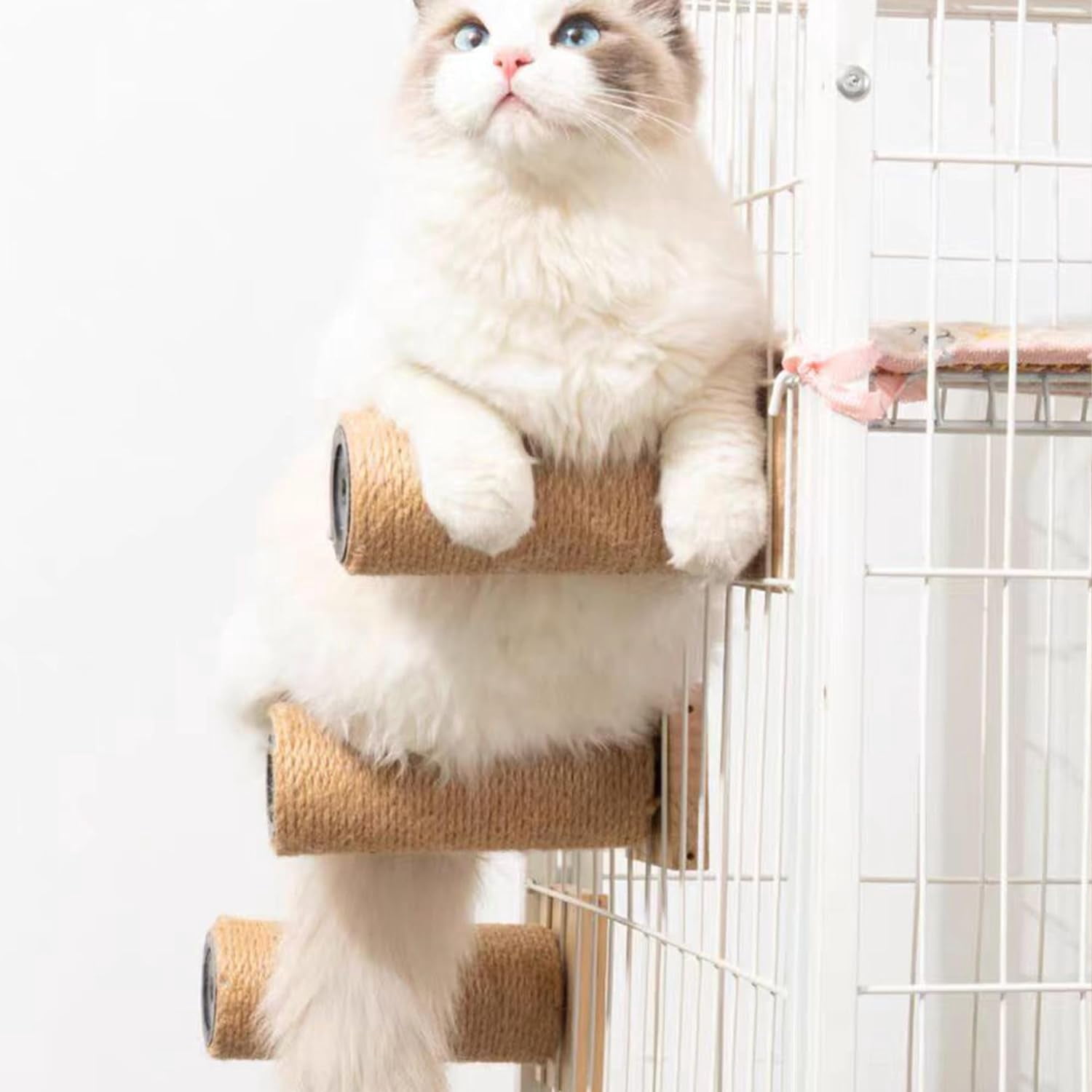 Cat Scratching Post Indoor :15" Tall Cat Scratching Post Indoor,Cat Post Scratcher for Protecting Furniture,Cat Scratch Post Perfect for Small and Medium-Sized Cats,with M8 Screws
