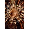 thumbnail image 2 of Factor, Beverly 23x32 White Modern Wood Framed Museum Art Print Titled - Swirl - Solomon Islands, 2 of 4