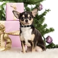 thumbnail image 2 of Red Puppy Collar with Bell, Soft Pu Leather Cat Collars Adjustable Buckle for XXS XS Extra Small Medium Tiny Female Male Boys Girls Pets Dogs Kitten Teacup Yorkie S, 2 of 5