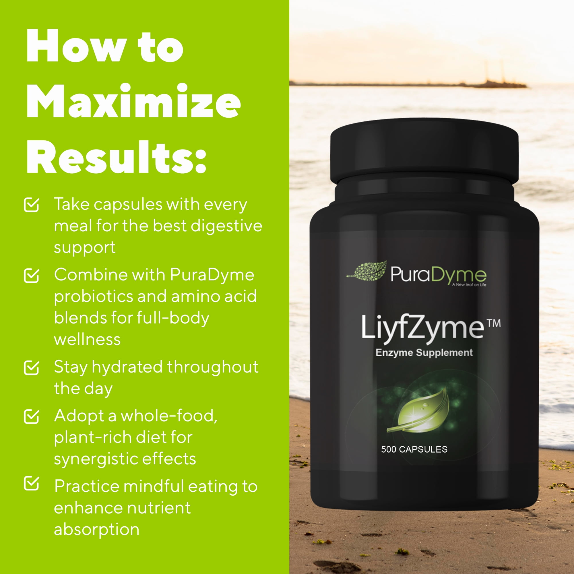 PuraDyme LiyfZyme Plant-Based Digestive Enzyme, Digestive Health Support (500 Ct)