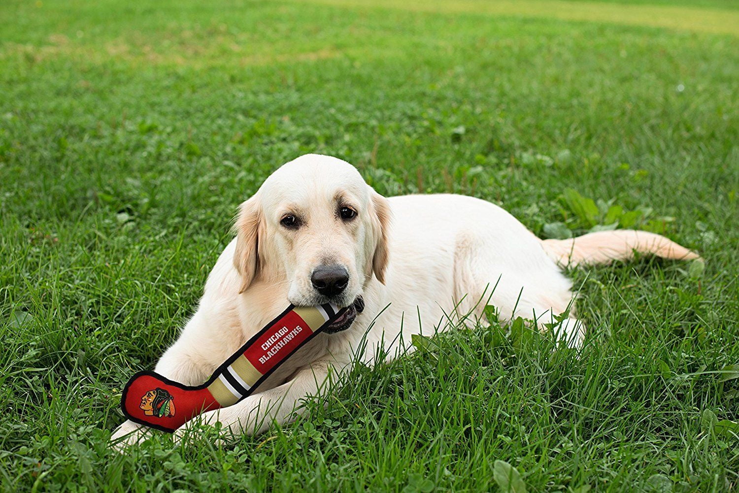 Pets First NHL Chicago Blackhawks Hockey Stick Toy for Dogs & Cats - Heavy-Duty, Durable Dog Toy with Squeaker
