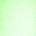 thumbnail image 1 of Ahgly Company Indoor Square Solid Green Modern Area Rugs, 6' Square, 1 of 1