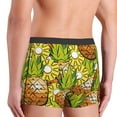 thumbnail image 3 of Goofa Tropical Summer Fruit Printed Men's Boxer Briefs Underwear, Moisture-Wicking Underwear, Trunk,Soft and Breathable Cotton Underwear-Large, 3 of 9